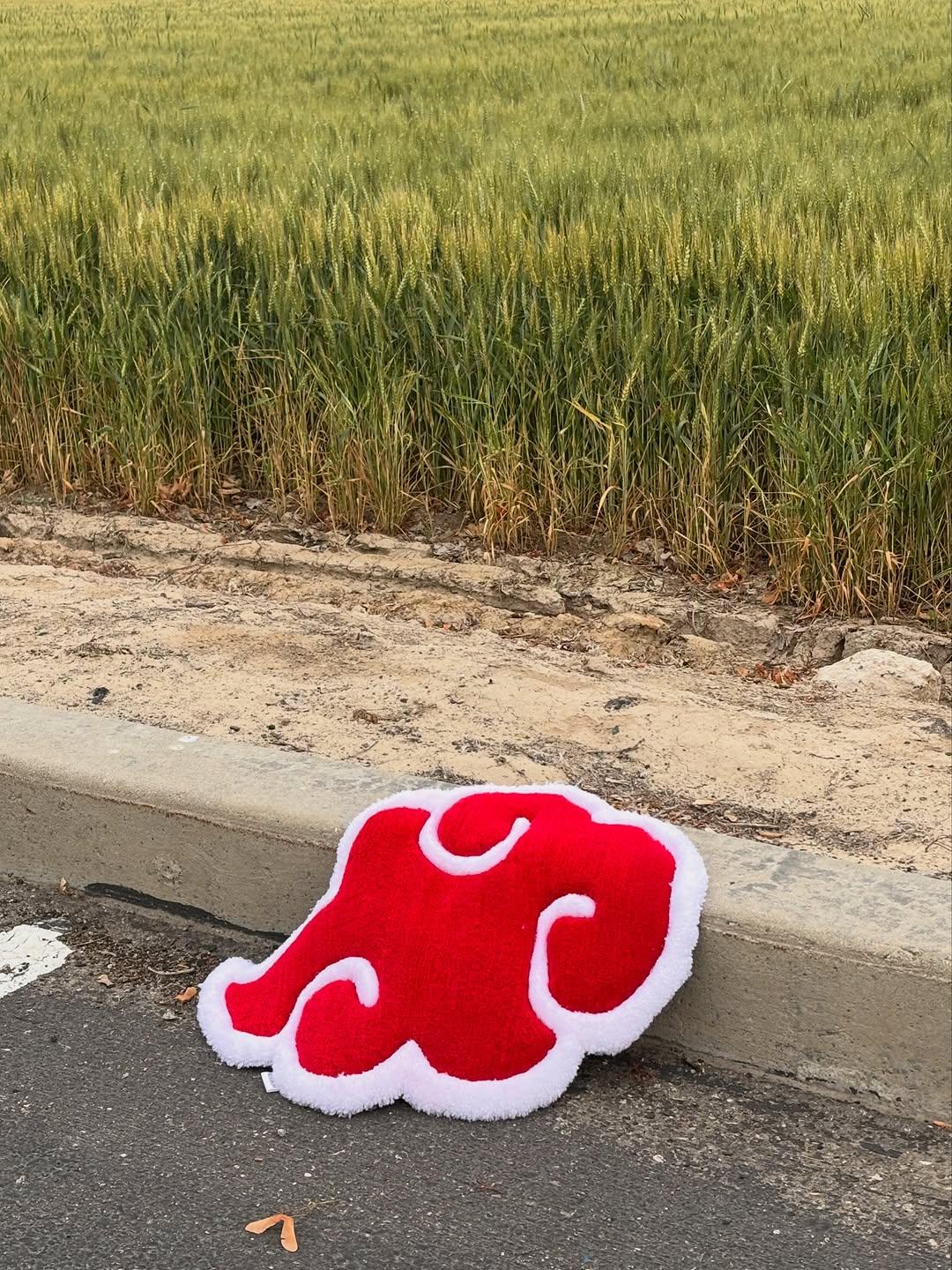 Hand-tufted red and white cloud-shaped rug propped against a kerb
